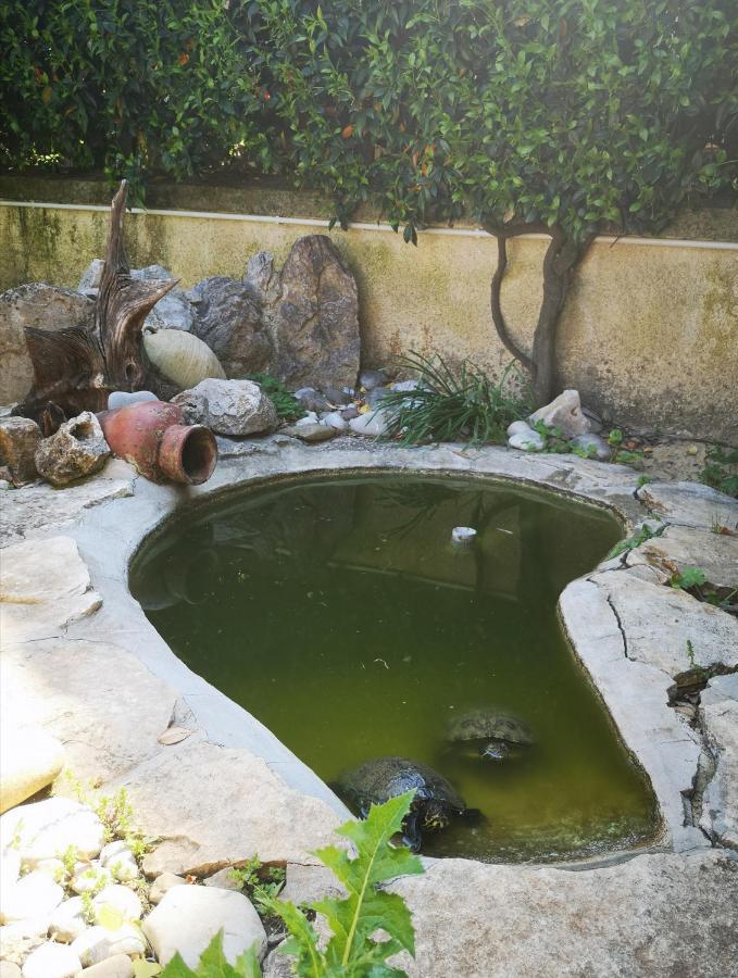 Villetta Blue Garden Sonnino ภายนอก รูปภาพ