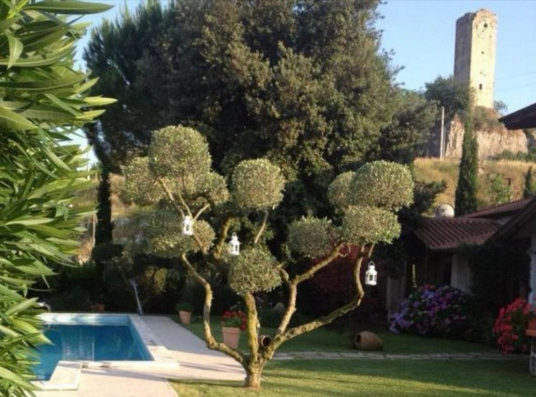 Villetta Blue Garden Sonnino ภายนอก รูปภาพ